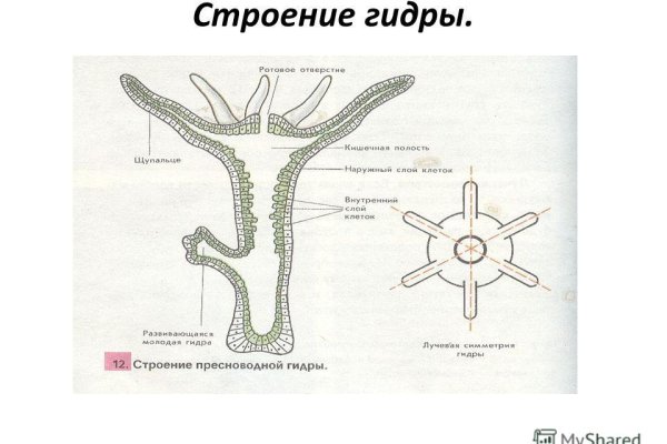 Кракен это даркнет маркетплейс