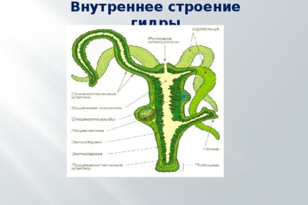 Восстановить аккаунт кракен